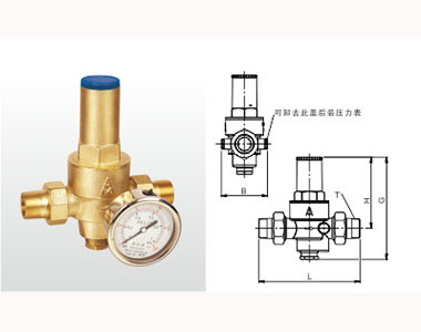 745 Y22X-16T ͭɵʽѹ