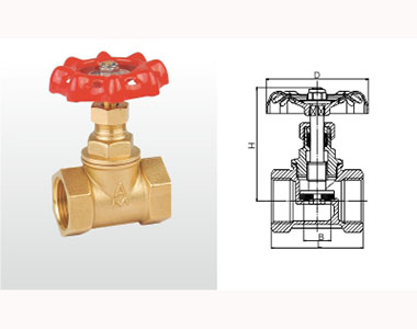 301 J11F-16T ֹֹͭط