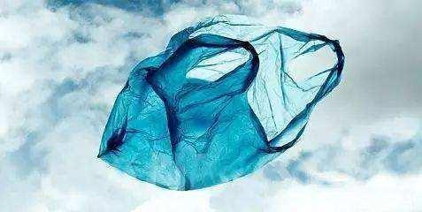 塑料袋对于我们的环境究竟有多大危害?
